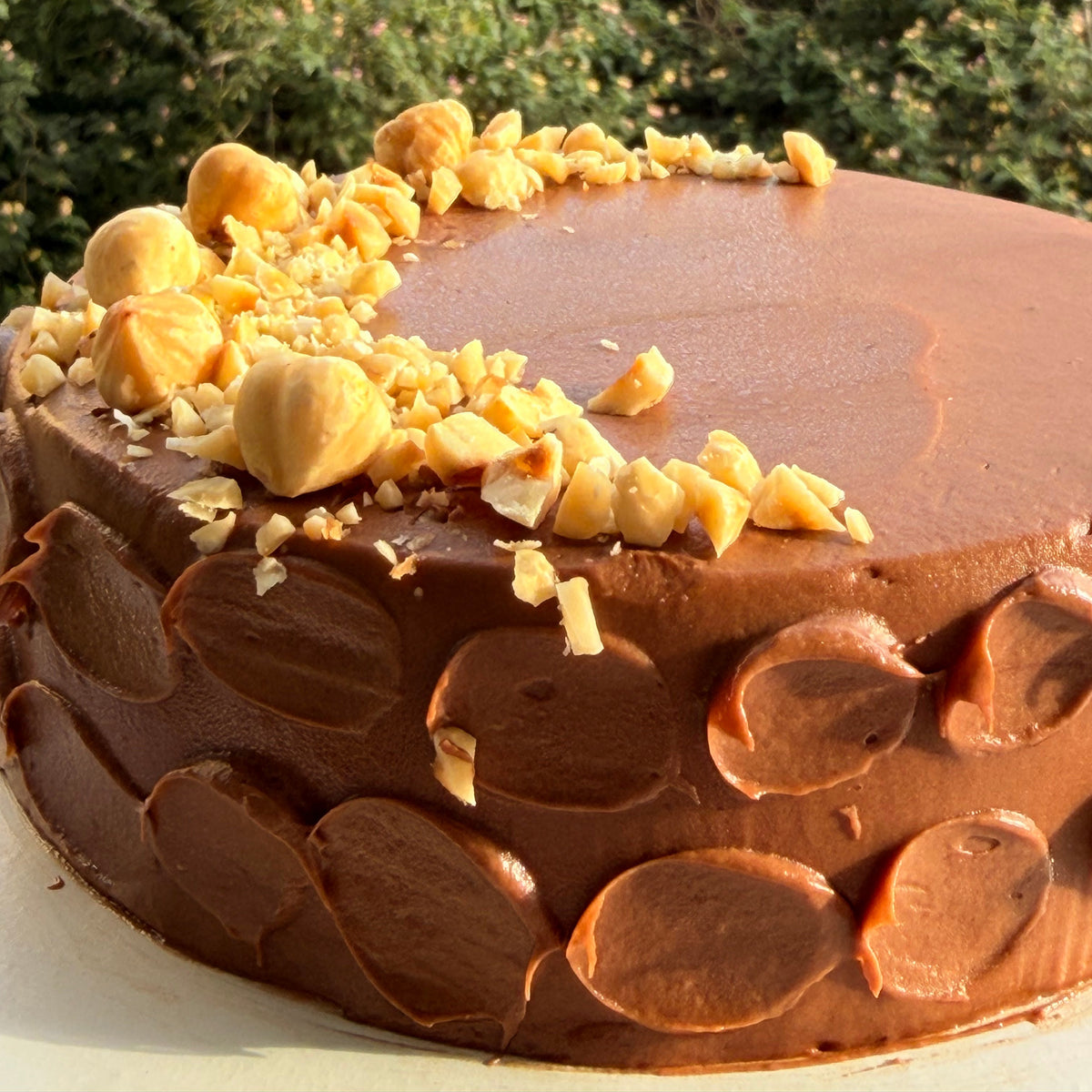 A round chocolate cake with smooth brown frosting, topped with whole and chopped hazelnuts, photographed outdoors with green foliage in the background.