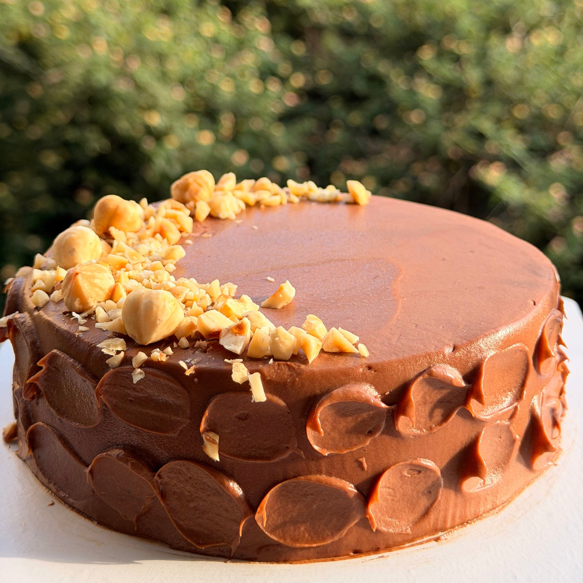 A round chocolate cake with glossy brown frosting, decorated with chopped hazelnuts and chocolate drizzle, set against a blurred green outdoor background.
