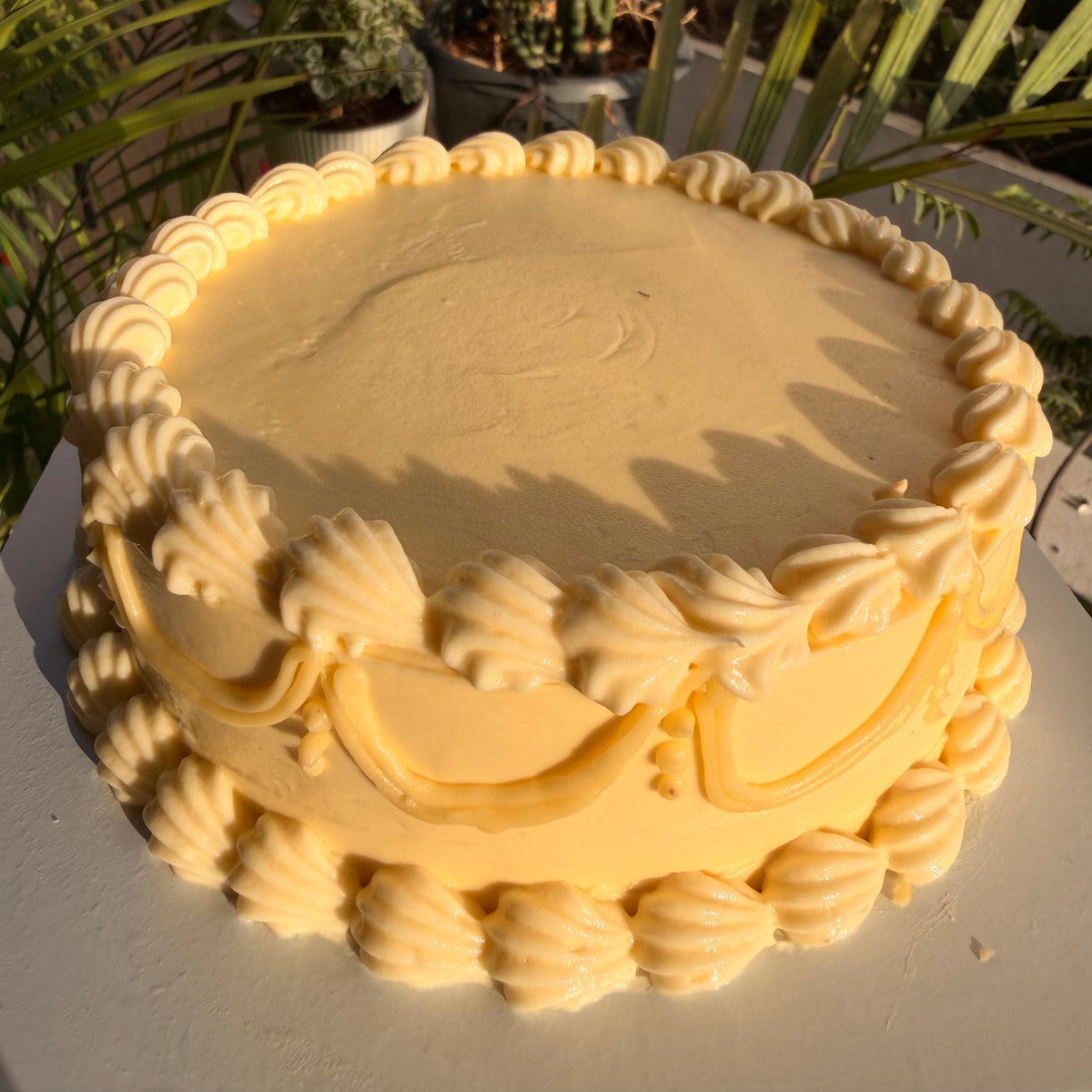 A round yellow cake with piped cream frosting decoration, photographed outdoors on a white surface with plants and warm sunlight in the background.