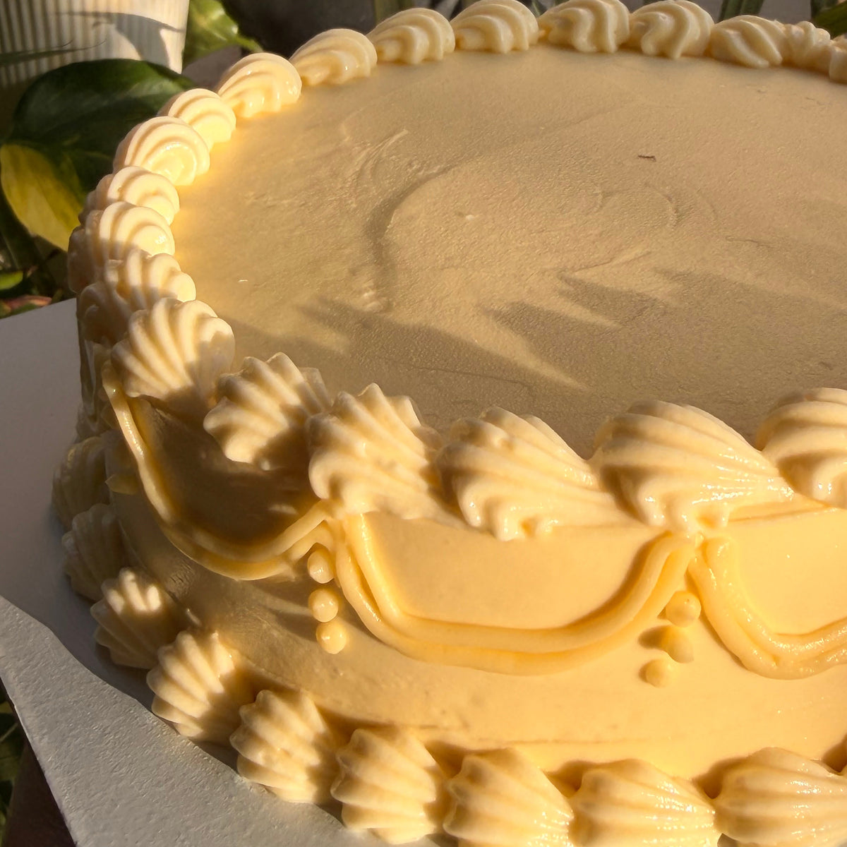 A round cake with smooth pale yellow frosting and decorative piped borders, photographed outdoors on a white surface with potted plants in the background.